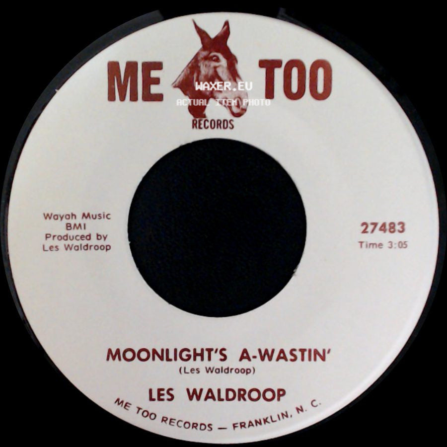 Les Waldroop - Moonlight's A-Wastin' / Watergate Bugs side A