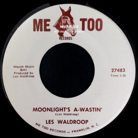 Les Waldroop - Moonlight's A-Wastin' / Watergate Bugs side A