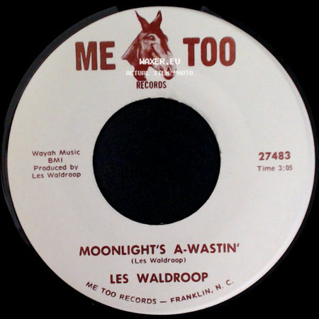 Les Waldroop - Moonlight's A-Wastin' / Watergate Bugs side A