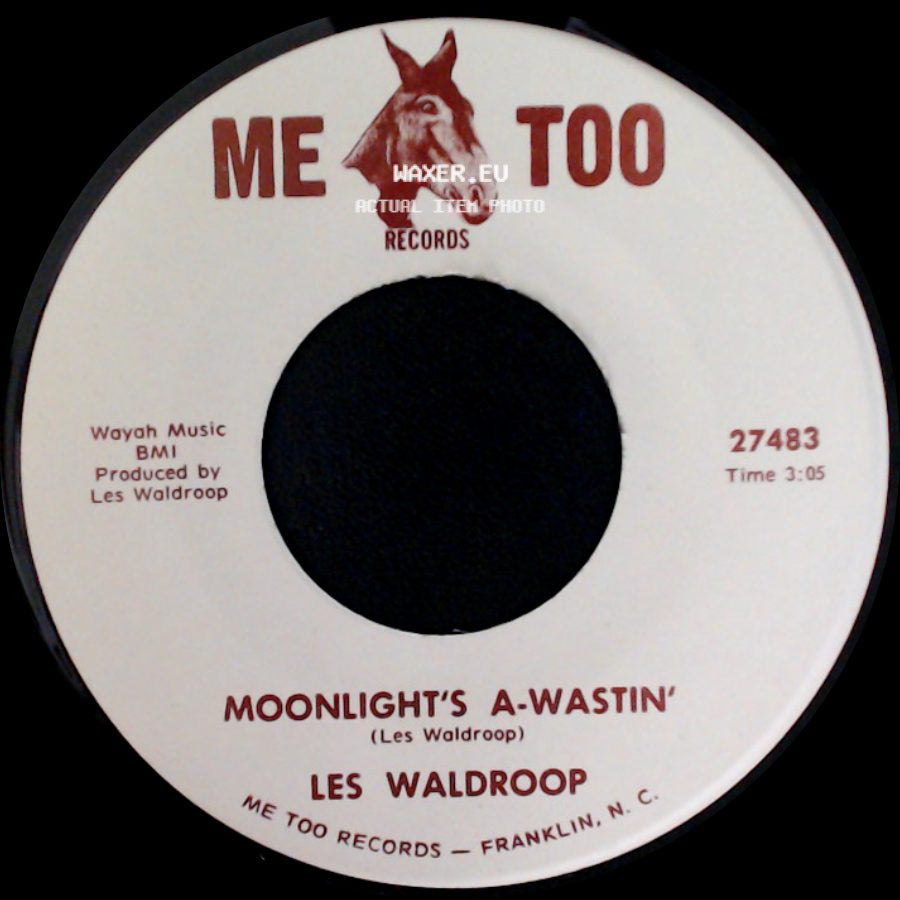 Les Waldroop - Moonlight's A-Wastin' / Watergate Bugs side A