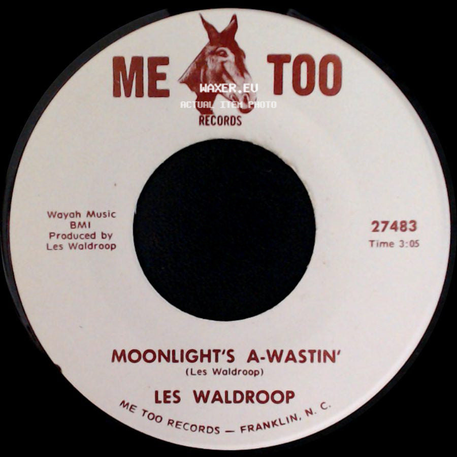 Les Waldroop - Moonlight's A-Wastin' / Watergate Bugs side A