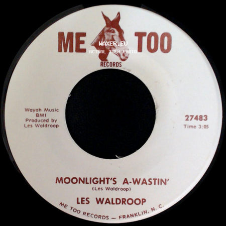 Les Waldroop - Watergate Bugs / Moonlight's A-Wastin' side B