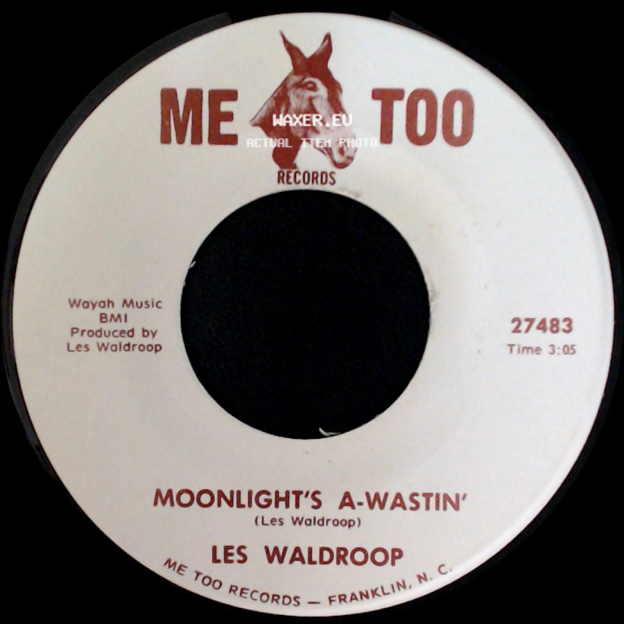 Les Waldroop - Watergate Bugs / Moonlight's A-Wastin' side B
