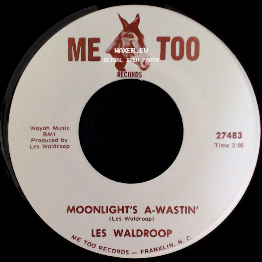 Les Waldroop - Watergate Bugs / Moonlight's A-Wastin' side B