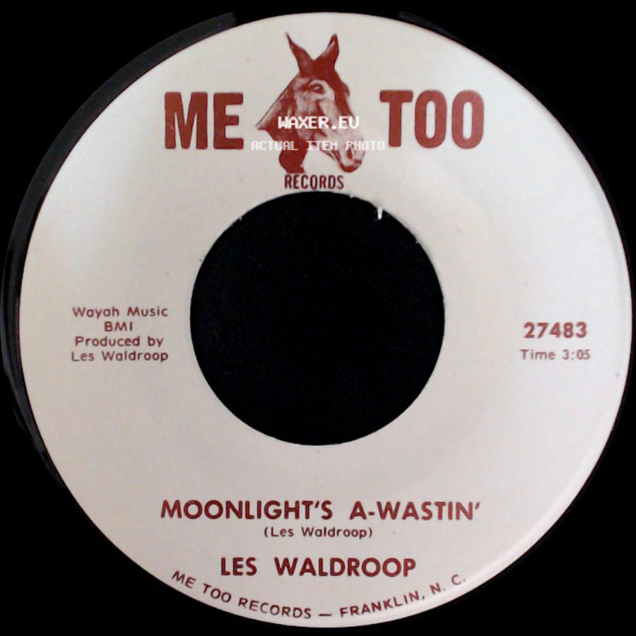 Les Waldroop - Moonlight's A-Wastin' / Watergate Bugs side A