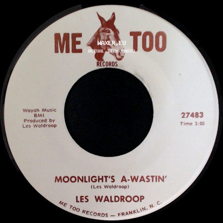 Les Waldroop - Watergate Bugs / Moonlight's A-Wastin' side B