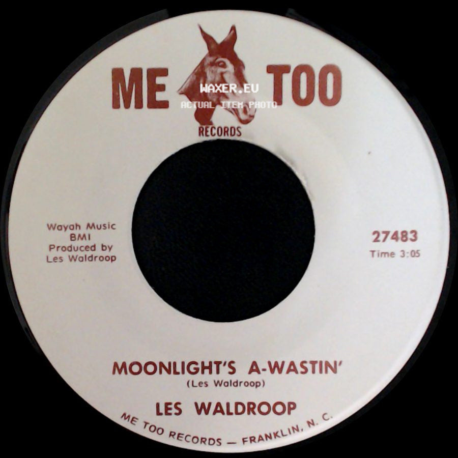 Les Waldroop - Watergate Bugs / Moonlight's A-Wastin' side B