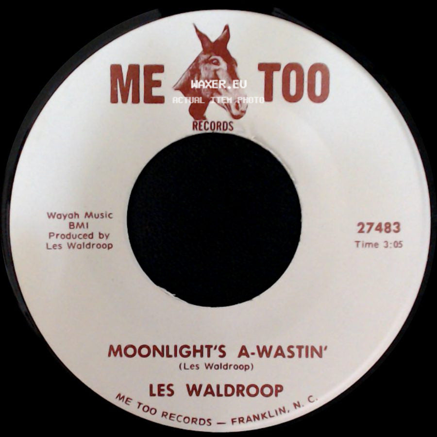 Les Waldroop - Watergate Bugs / Moonlight's A-Wastin' side B