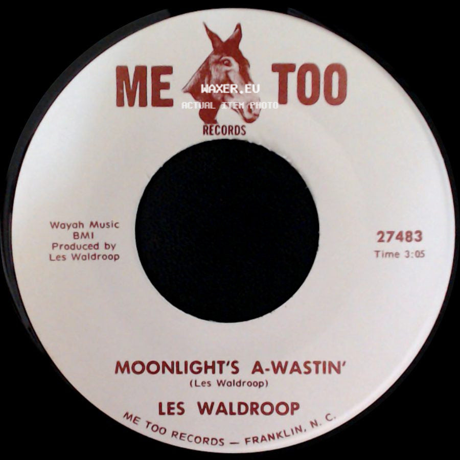 Les Waldroop - Watergate Bugs / Moonlight's A-Wastin' side B