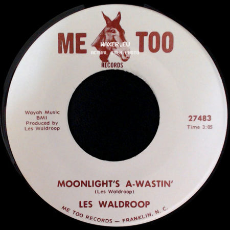 Les Waldroop - Watergate Bugs / Moonlight's A-Wastin' side B