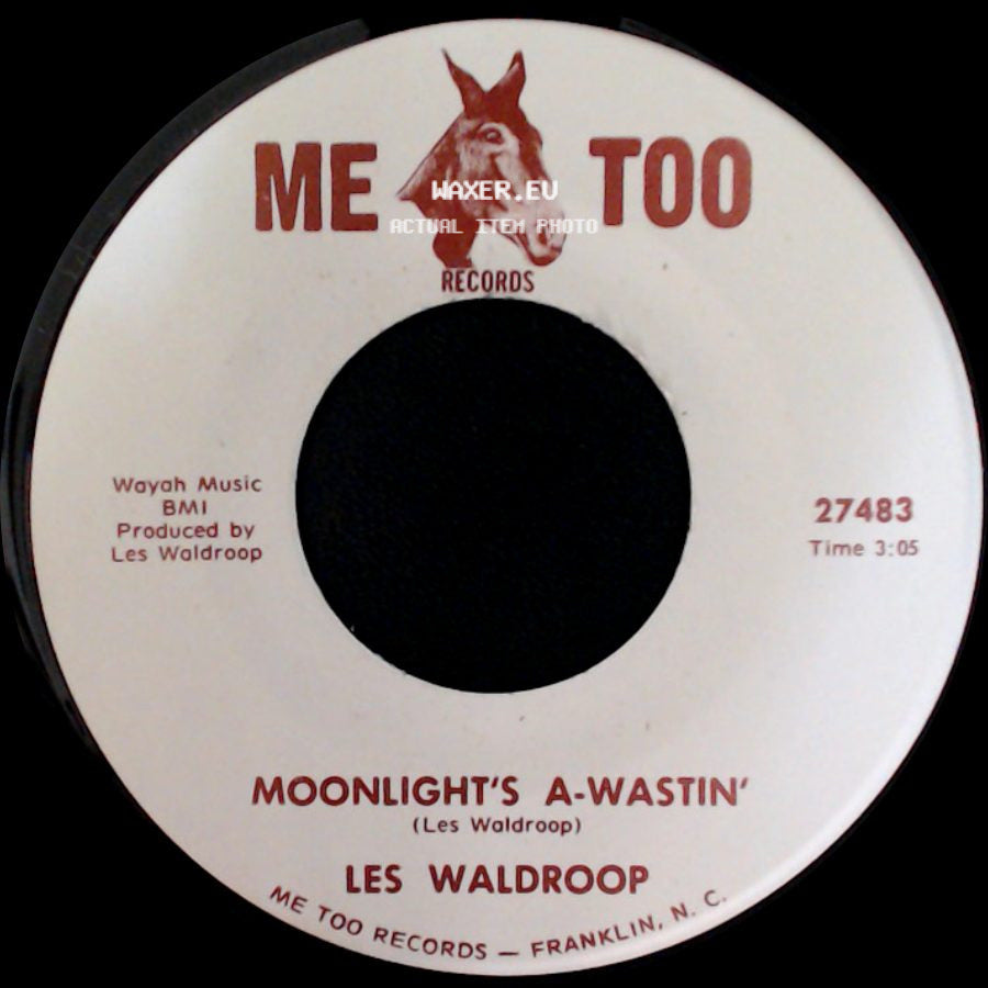 Les Waldroop - Watergate Bugs / Moonlight's A-Wastin' side B