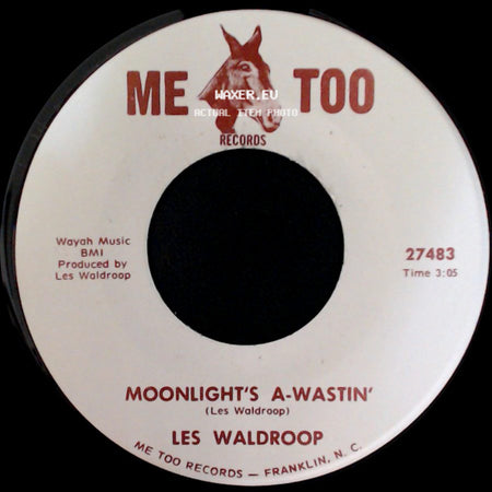 Les Waldroop - Watergate Bugs / Moonlight's A-Wastin' side B