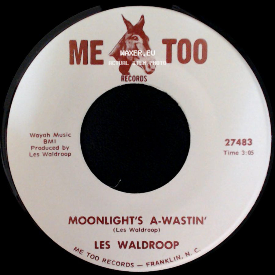 Les Waldroop - Watergate Bugs / Moonlight's A-Wastin' side B