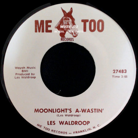 Les Waldroop - Watergate Bugs / Moonlight's A-Wastin' side B