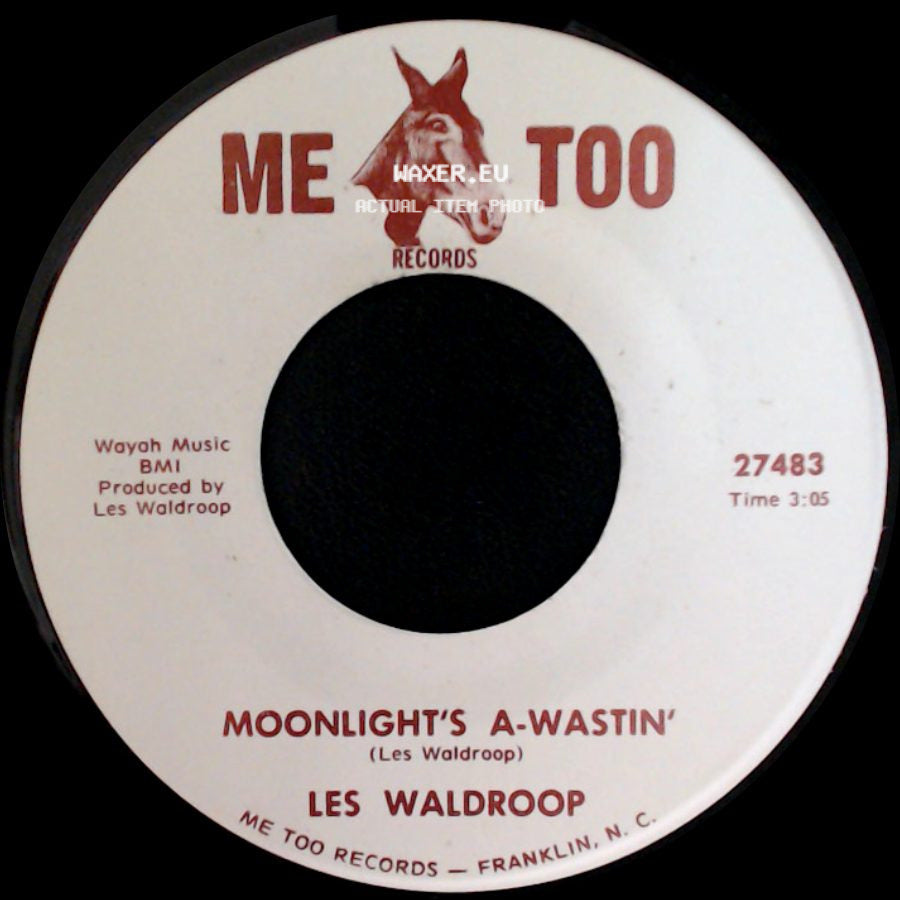 Les Waldroop - Watergate Bugs / Moonlight's A-Wastin' side B