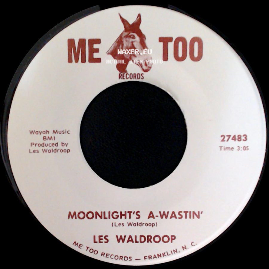 Les Waldroop - Watergate Bugs / Moonlight's A-Wastin' side B