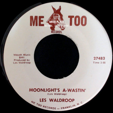 Les Waldroop - Watergate Bugs / Moonlight's A-Wastin' side B