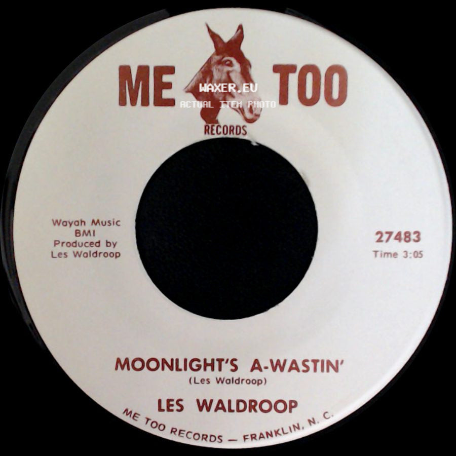 Les Waldroop - Watergate Bugs / Moonlight's A-Wastin' side B