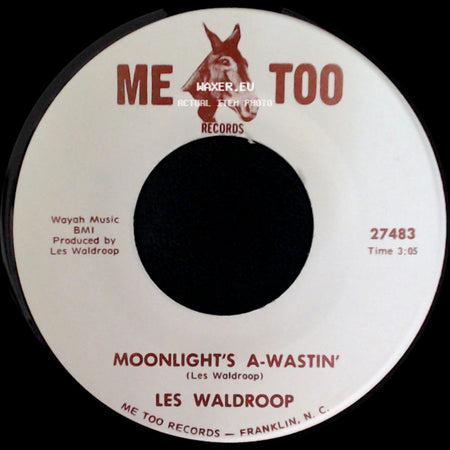 Les Waldroop - Watergate Bugs / Moonlight's A-Wastin' side B