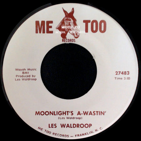 Les Waldroop - Watergate Bugs / Moonlight's A-Wastin' side B