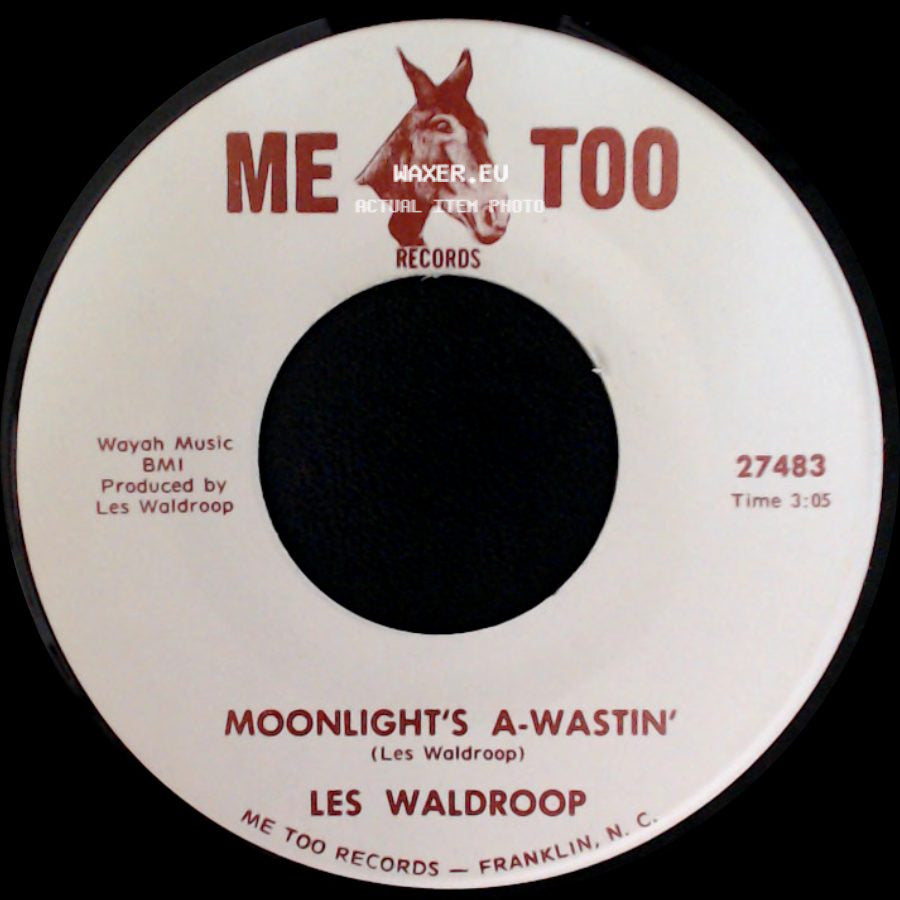 Les Waldroop - Watergate Bugs / Moonlight's A-Wastin' side B