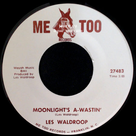 Les Waldroop - Watergate Bugs / Moonlight's A-Wastin' side B