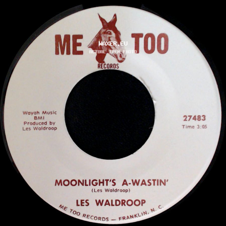 Les Waldroop - Watergate Bugs / Moonlight's A-Wastin' side B