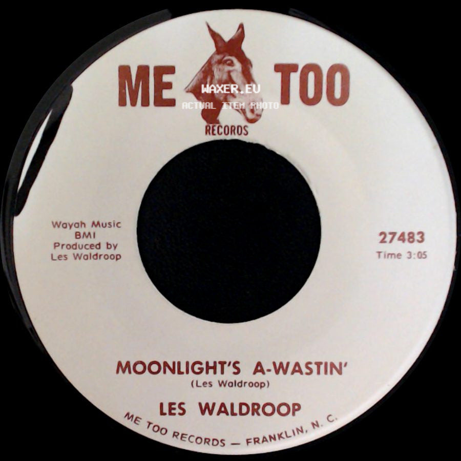 Les Waldroop - Watergate Bugs / Moonlight's A-Wastin' side B