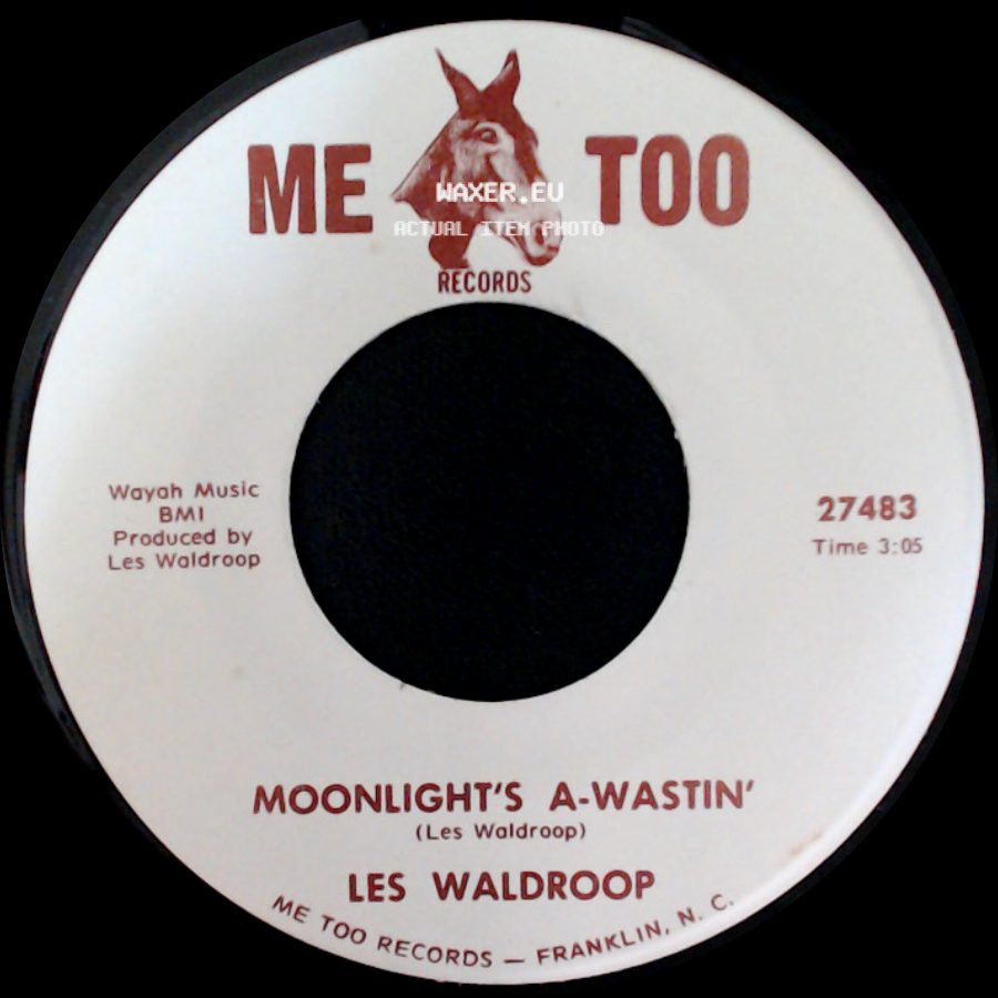 Les Waldroop - Moonlight's A-Wastin' / Watergate Bugs side A