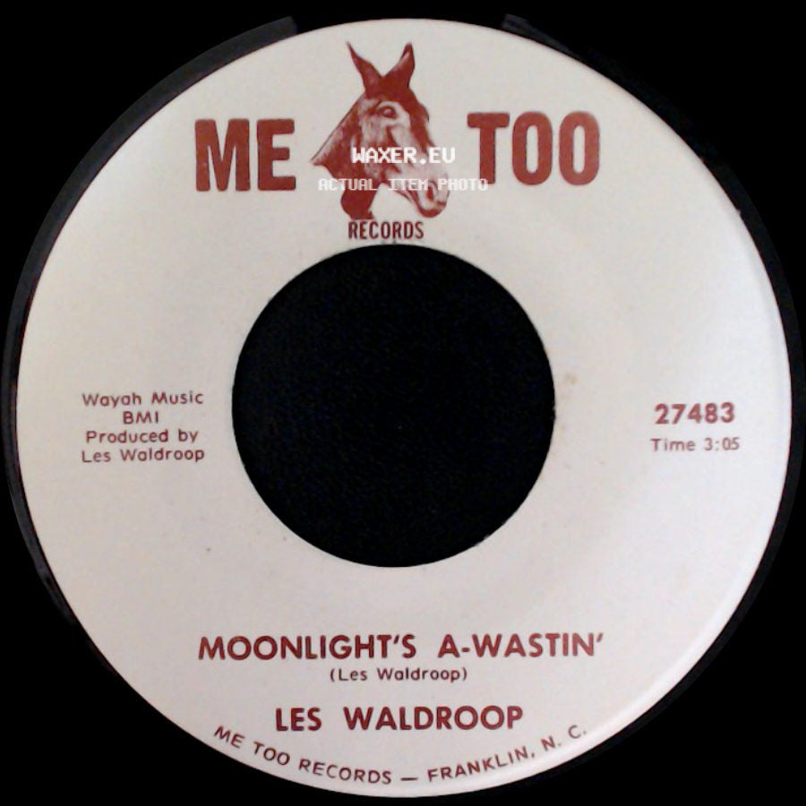 Les Waldroop - Moonlight's A-Wastin' / Watergate Bugs side A