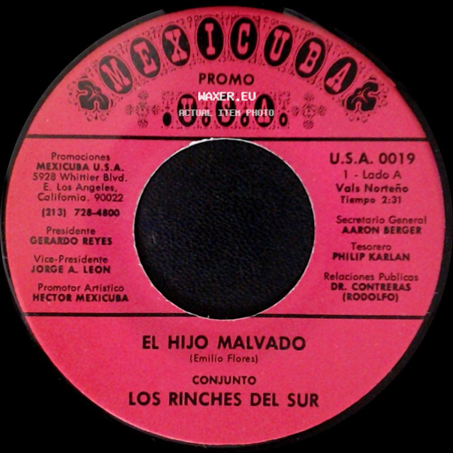 Los Rinches Del Sur / Conjunto Los Rinches Del Sur - El Hijo Malvado / La Troca side A