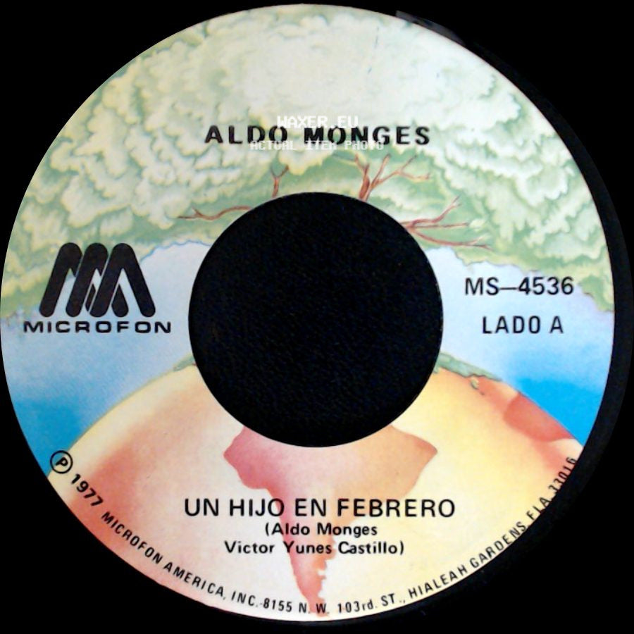Aldo Monges - Un Hijo En Febrero / No Te Habia Conocido side A