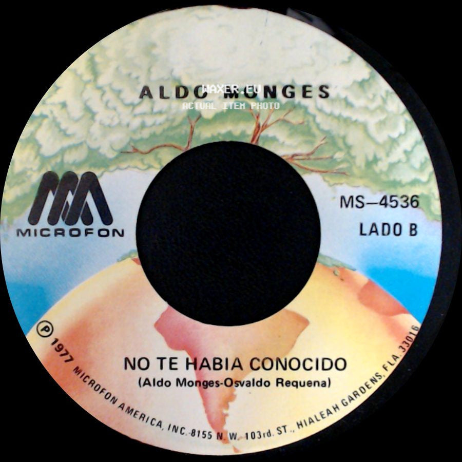 Aldo Monges - Un Hijo En Febrero / No Te Habia Conocido side B