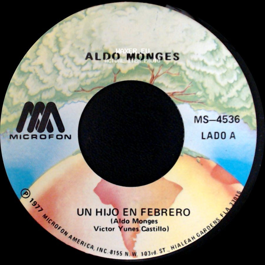 Aldo Monges - Un Hijo En Febrero / No Te Habia Conocido side A