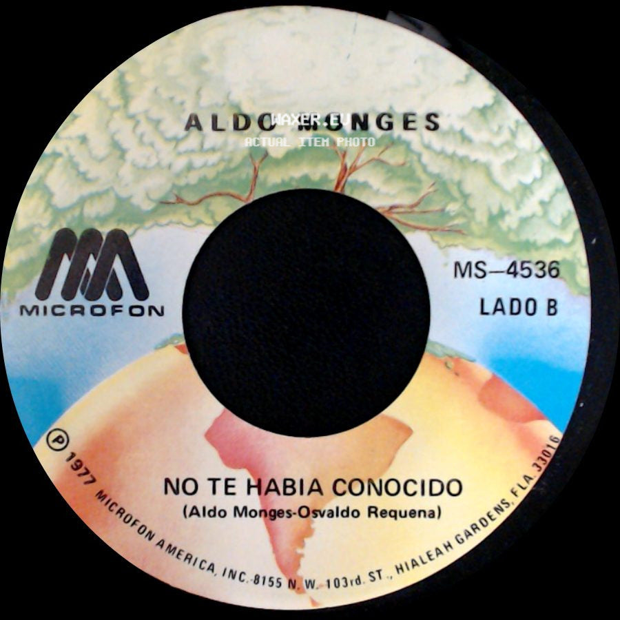 Aldo Monges - Un Hijo En Febrero / No Te Habia Conocido side B