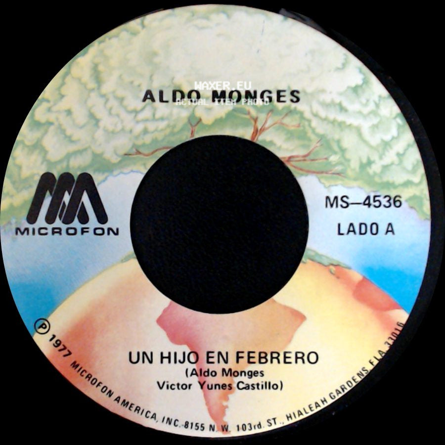 Aldo Monges - Un Hijo En Febrero / No Te Habia Conocido side A