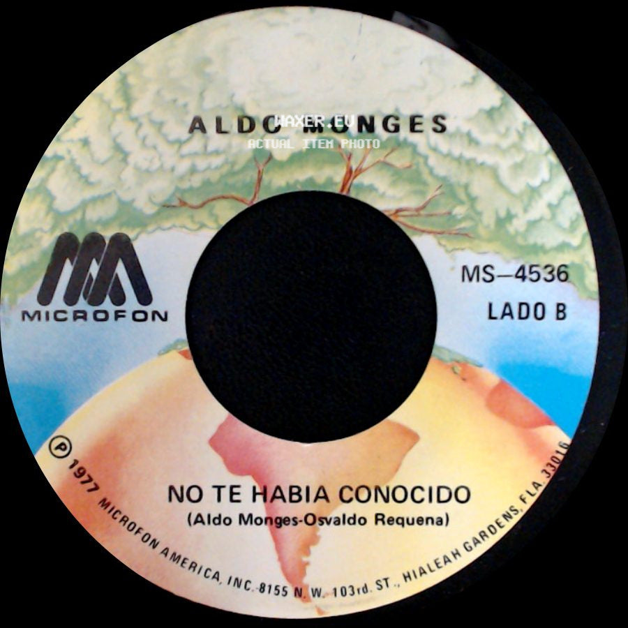 Aldo Monges - Un Hijo En Febrero / No Te Habia Conocido side B