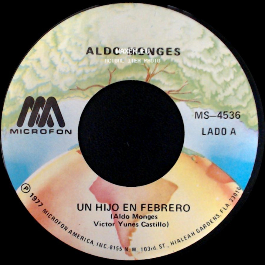 Aldo Monges - Un Hijo En Febrero / No Te Habia Conocido side A