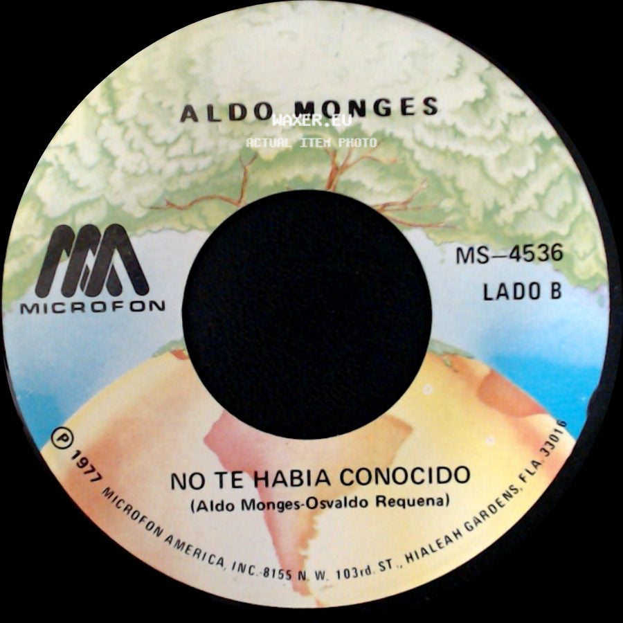 Aldo Monges - Un Hijo En Febrero / No Te Habia Conocido side B