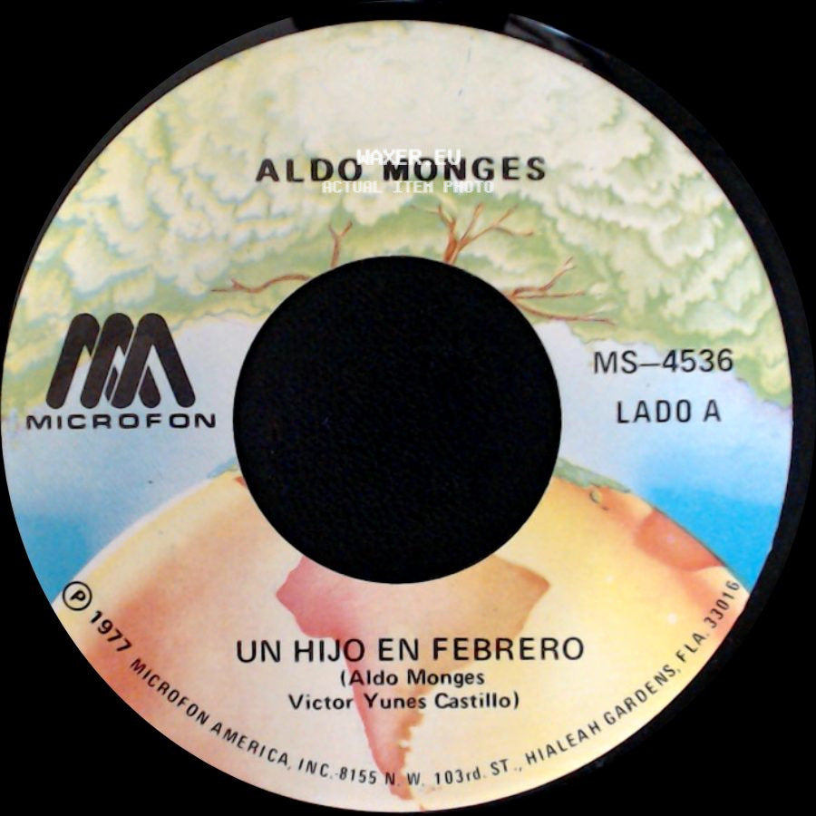 Aldo Monges - Un Hijo En Febrero / No Te Habia Conocido side A