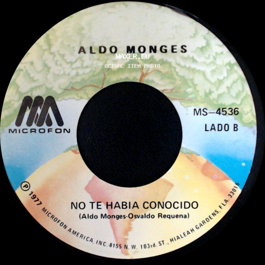 Aldo Monges - Un Hijo En Febrero / No Te Habia Conocido side B