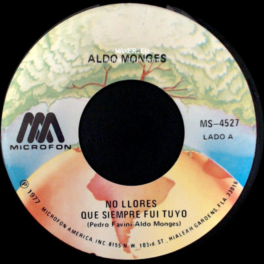 Aldo Monges - No Llores Que Siempre Fui Tuyo / Mi Mujer Y Yo side A