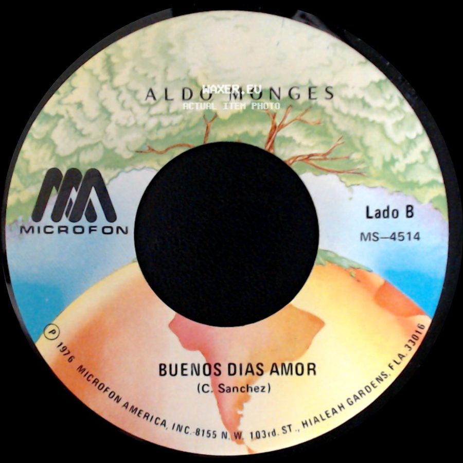 Aldo Monges - Querida Tristeza / Buenos Dias Amor side B