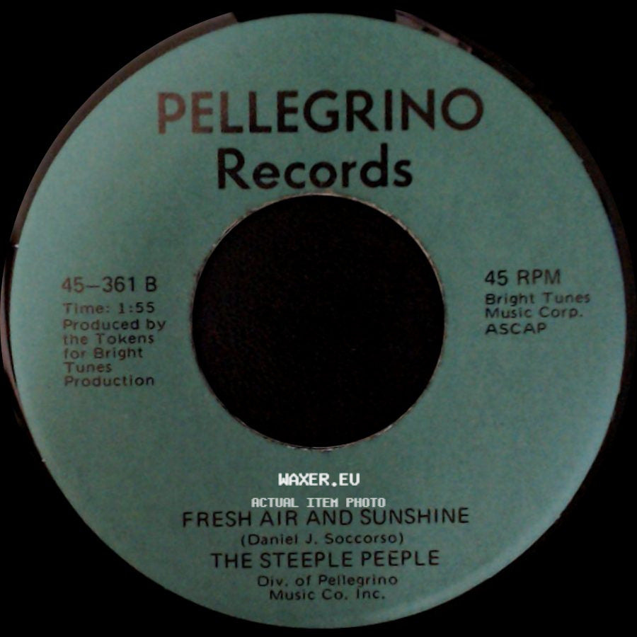 The Steeple Peeple - Fresh Air And Sunshine / Tomorrow (He'll Be Coming Home) side A