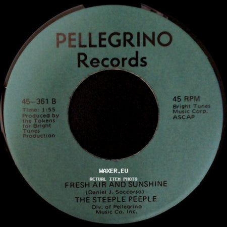 The Steeple Peeple - Fresh Air And Sunshine / Tomorrow (He'll Be Coming Home) side A