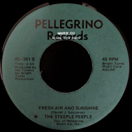 The Steeple Peeple - Fresh Air And Sunshine / Tomorrow (He'll Be Coming Home) side A