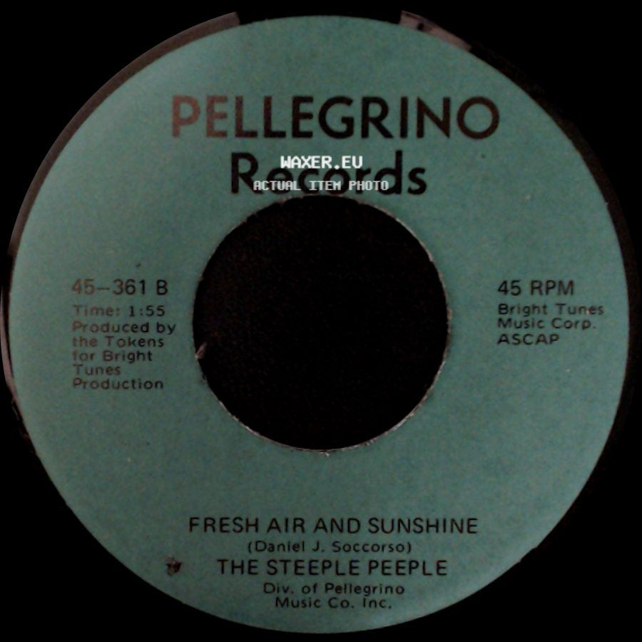 The Steeple Peeple - Fresh Air And Sunshine / Tomorrow (He'll Be Coming Home) side A