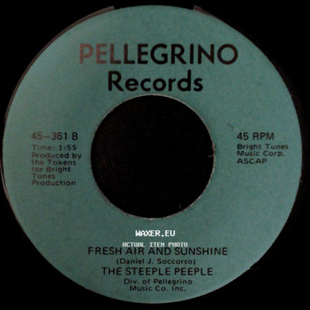 The Steeple Peeple - Fresh Air And Sunshine / Tomorrow (He'll Be Coming Home) side A