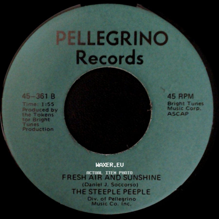 The Steeple Peeple - Fresh Air And Sunshine / Tomorrow (He'll Be Coming Home) side A