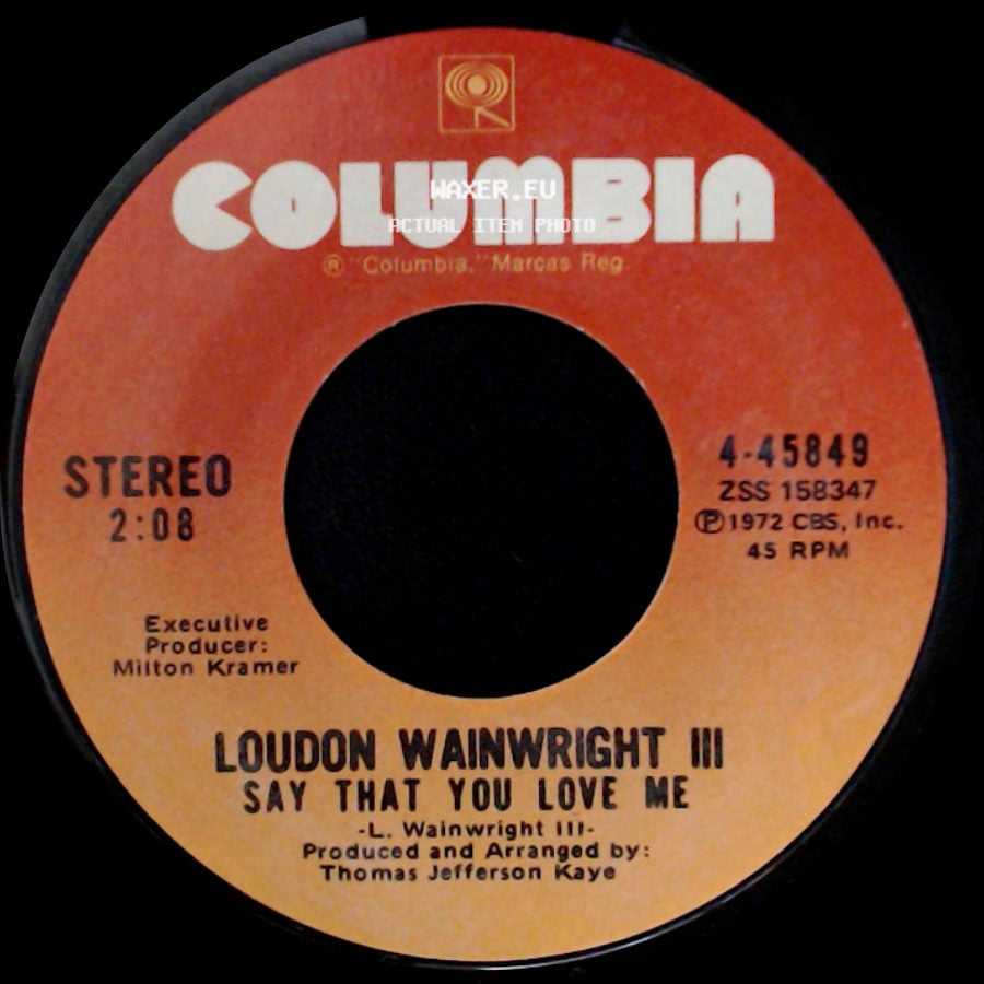 Loudon Wainwright Iii - Say That You Love Me / New Paint side A